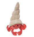 Hermit Crab