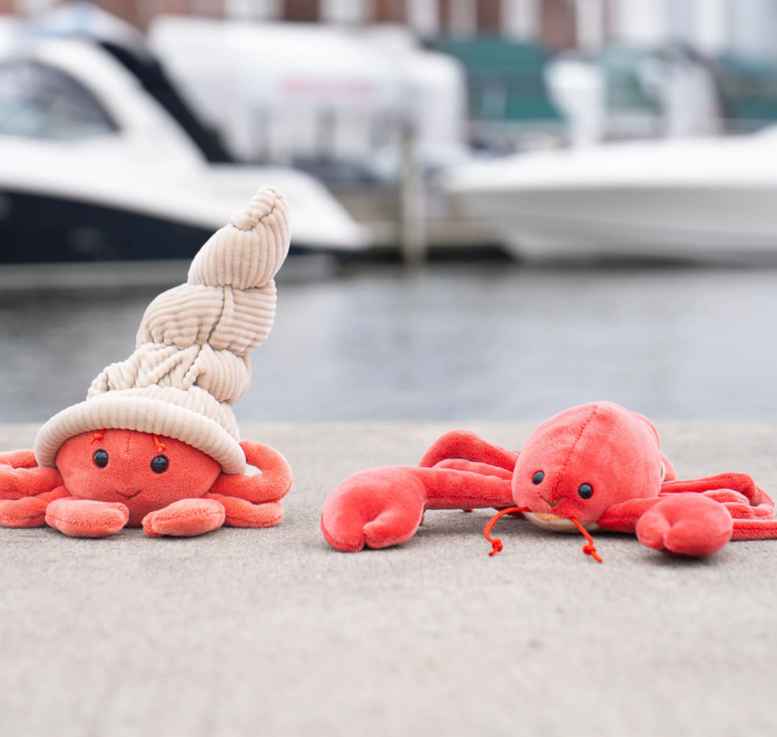 Hermit Crab