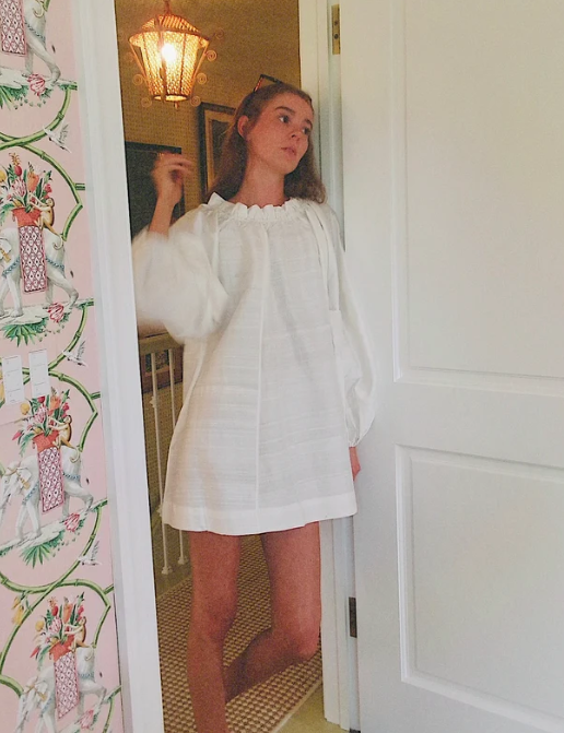 Worth Mini Dress | Silk Dupioni